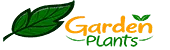 Интернет Магазин GardenPlants Интернет Магазин GardenPlants